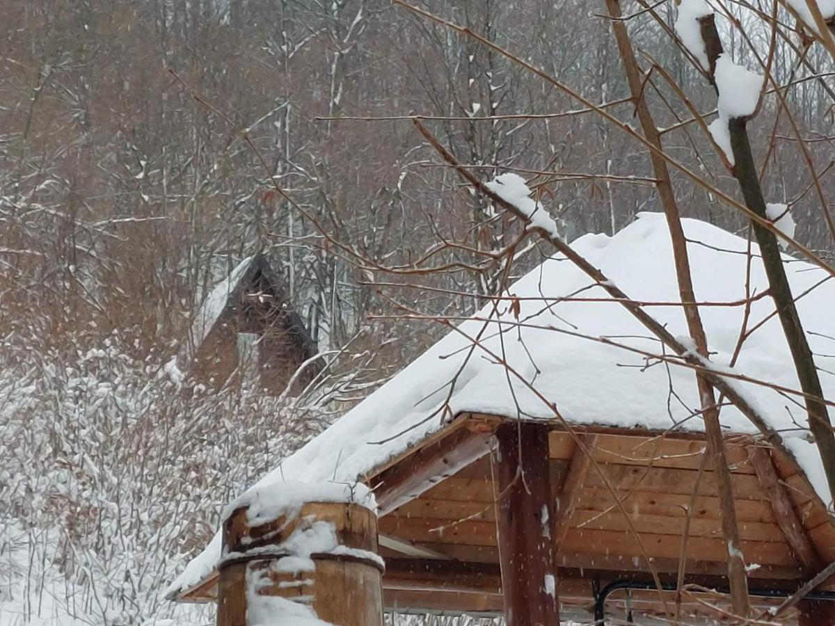 Holiday Bungalows Pajkovir Kolasin Ngoại thất bức ảnh
